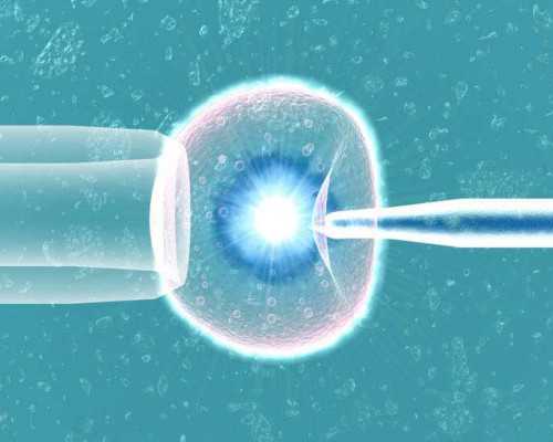 有上海九院做的试管婴儿取卵不打麻药吗 上海长海医院试管婴儿好不好成功率