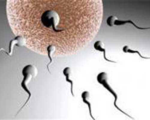 厦门供卵价格 厦门试管婴儿多少钱？试管婴儿有哪些花销？ ‘怀男宝宝长妊娠