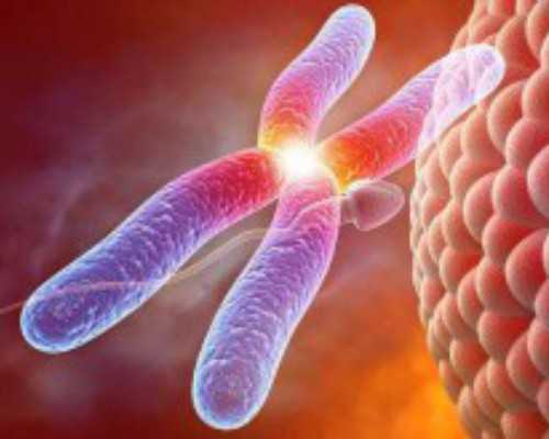 湖北九院试管地址在哪？做试管成功率高吗？,湖北试管婴儿第3代成功率是多少