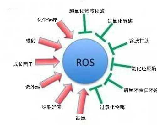 育儿心得怎么写_怀孕多久可以流产,【备孕】提高男性生育的十大秘诀！