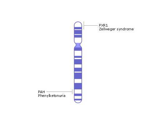 医大供卵试管费用,石家庄专业助孕价格-试管助孕机构