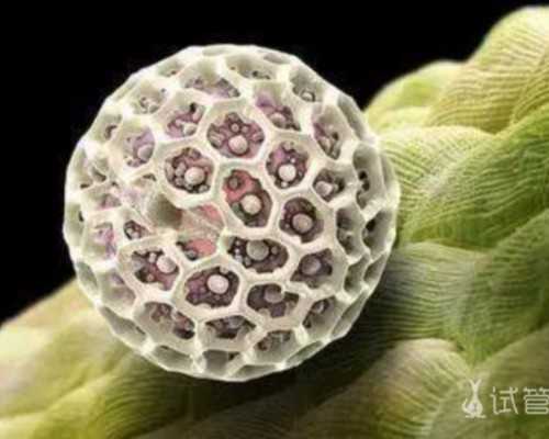 试管婴儿技术在农业合作医疗中是否可以报销？探秘试管婴儿技术报销的详细解