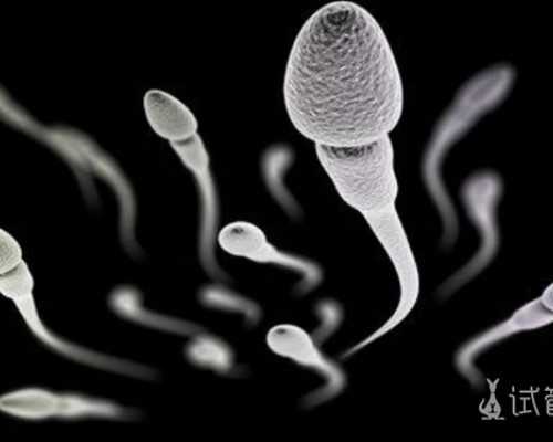 台州试管移植成功经验多吗,台州试管有用吗