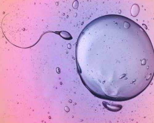 没有结婚证私立医院试管成都 成都试管婴儿成功几率并不是很高 ‘怀孕六个月