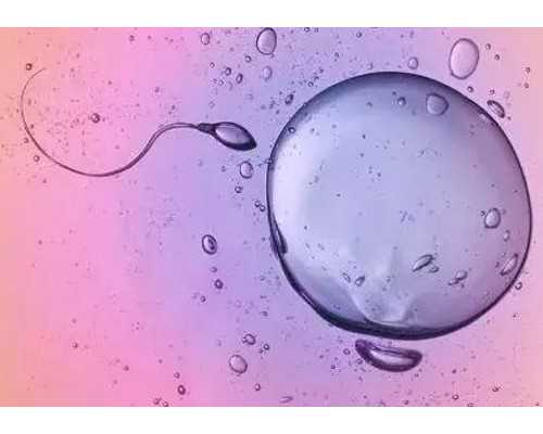 江西私立助孕医院 南昌供卵试管费用多少，2026江西供卵试管费用预估 ‘孕囊