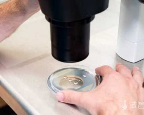 被评选为适合婴儿使用的十大安全驱蚊剂排名中具体有哪些品牌？