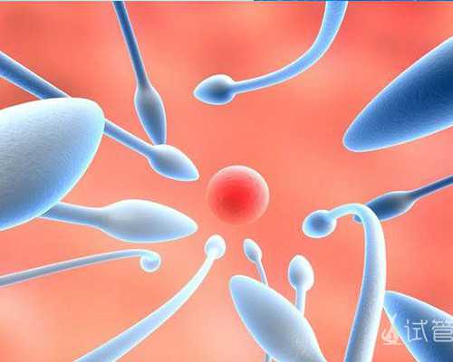 供卵试管率高吗,“广西三大助孕公司”桂林第三方助孕