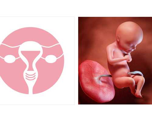 海南政策 试管婴儿机遇 海南供卵试管不排队的医院有哪些? ‘b超看女孩的标志