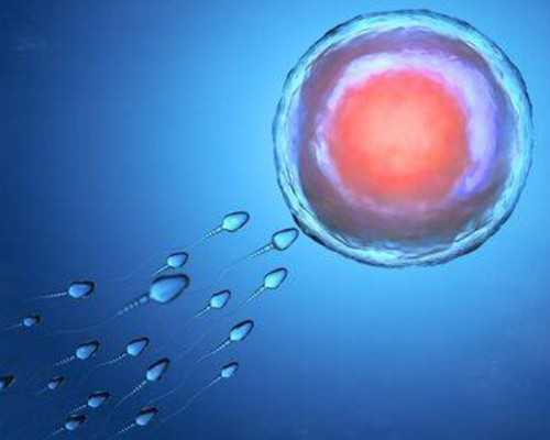 供卵代怀借卵费用_拉拉供卵代怀费用,张家港做供卵代怀婴儿多少钱「供卵代怀