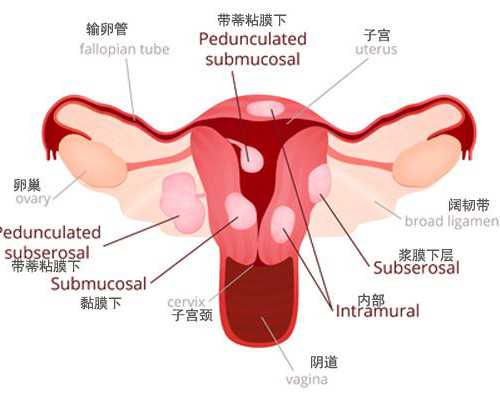 育儿嫂一天工作流程_怀孕几天能测出来吗,孕期凯格尔运动怎么做