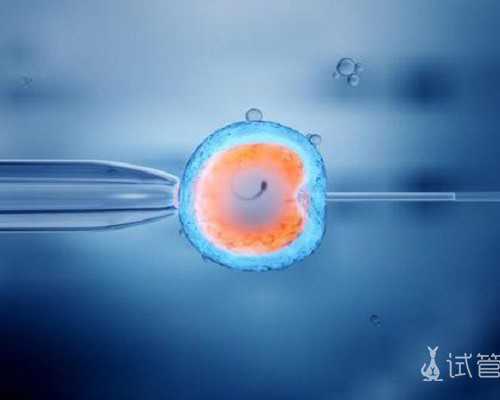 试管 供精_试管婴儿三代,安阳试管婴儿,安阳市试管婴儿医院