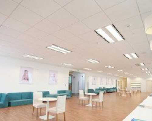 试管婴儿生男孩的几率有多大