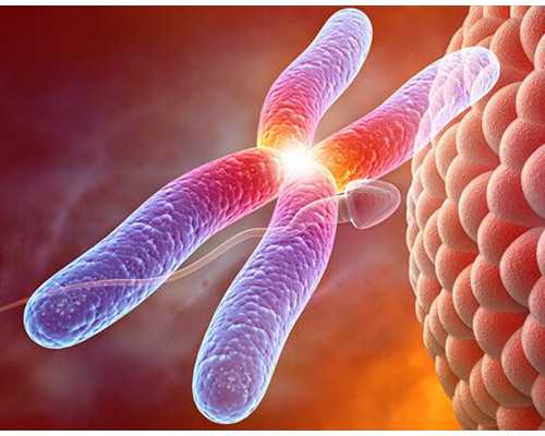 怀孕多久可以测出来_怀孕40天注意事项,2026天门试管婴儿医院排名，附助孕花费