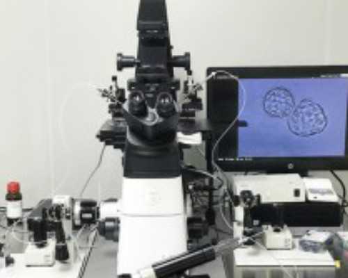 人工受精：优势与风险，孩子是否真正属于自己？