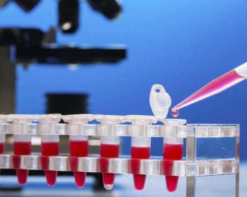 预估三代试管三代试管花费高不高(三代试管三代试管成功率)