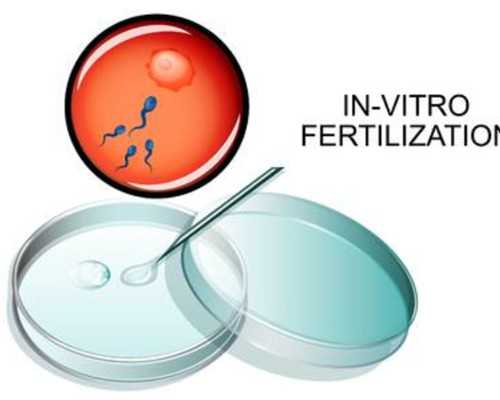 供卵代怀 供精_供卵代怀婴儿三代,供卵代怀知识：银川三代供卵代怀医院哪家好