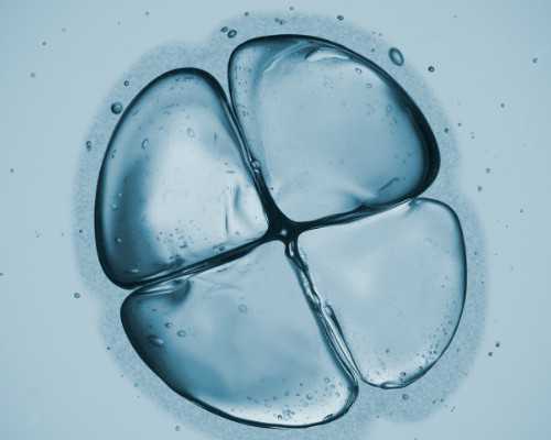 学前班复韵母ei的教案？应该用哪个汉字来表示啊