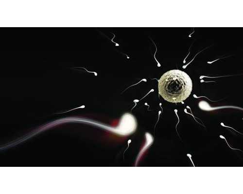 哪里找供卵试管,辽宁三大助孕机构沈阳助孕医院