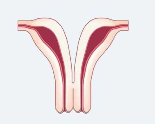 怀孕期间可以同房吗_育儿教育书籍,月经期可以运动吗