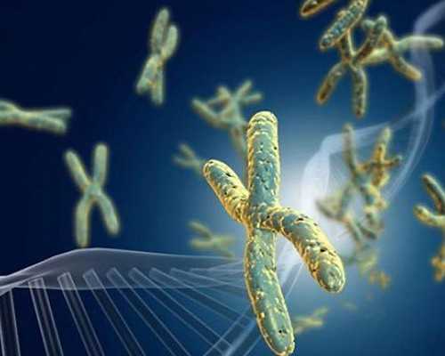 延安做试管婴儿最好的公司是哪家,延安试管中介排名(延安试管中介公司排名