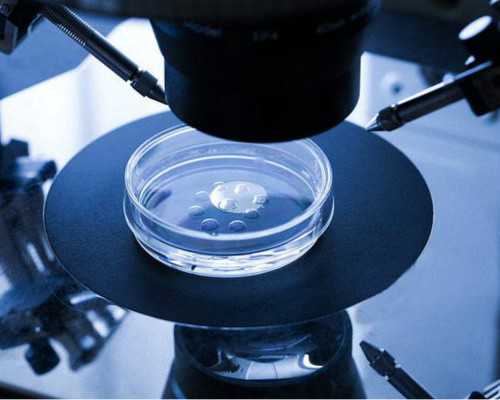 这项政策对于农村家庭来说，无疑是一个好消息。试管婴儿技术可以帮助他们解