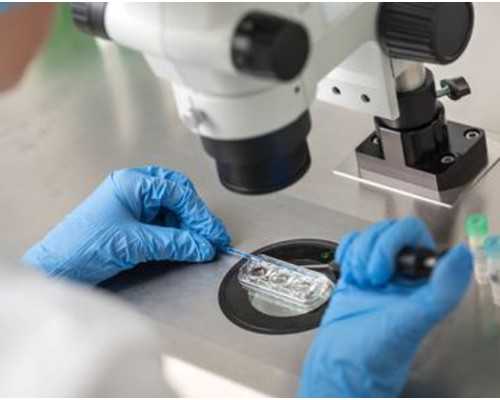 育儿教育方法_备孕做什么检查项目,【孕妇脾气暴躁】怀孕期间脾气暴躁易怒是