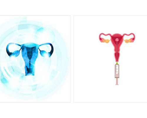 湖北想去供卵试管 2026湖北做试管婴儿有补贴吗? ‘b超怎么看怀的是男孩还是女