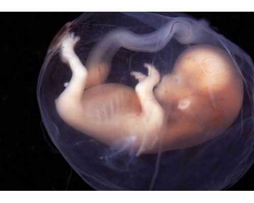 民间供卵试管机构电话,哈尔滨试管助孕价格_正规助孕中介