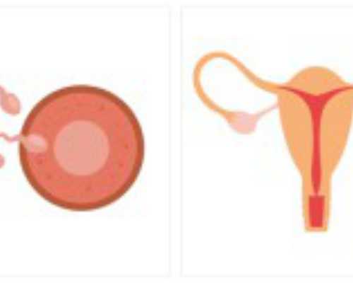 试管婴儿技术在加拿大备受推崇：一位女同性恋者的试管婴儿历程