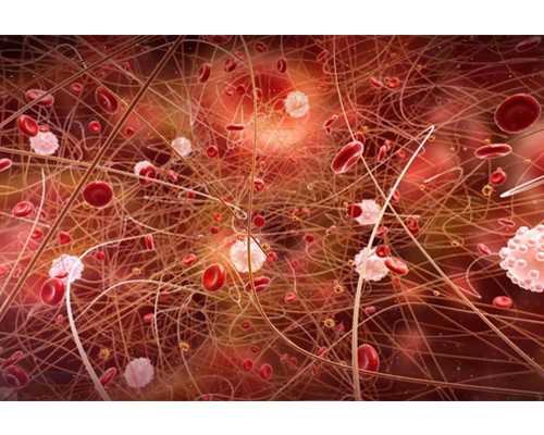 许昌市中心医院试管婴儿 许昌可以做试管婴儿吗？听听当地的姐妹怎么说 - ‘