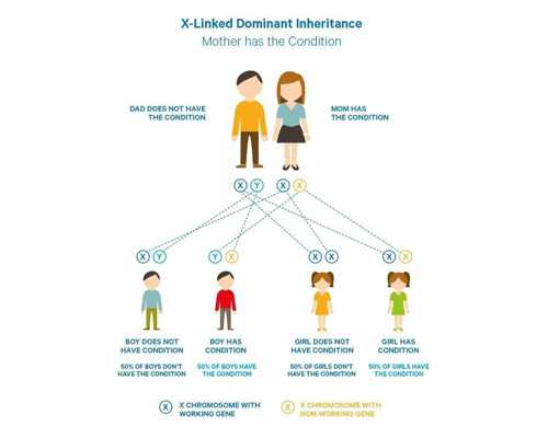 40岁怀孕注意事项_最早怎么看出怀孕,卵泡发育不好如何备孕？4个妙招助你好孕