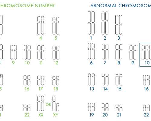 山东三代试管三代试管是骗局吗(山大三代试管费用)